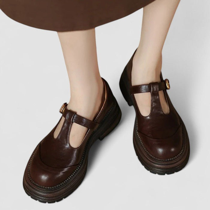Women's T-Strap Mary Jane Shoes with Chunky Platform Sole